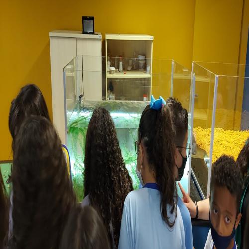 Feira Cultural 2025