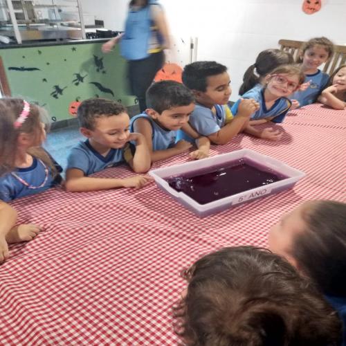 Feira Cultural 2025